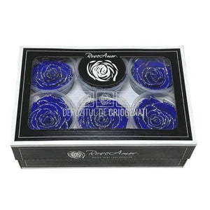 Trandafiri Criogenati XL GLITTER SILVER BLU-03 (Ø6-6,5cm set 6 buc) - DepozituldeCriogenati.ro