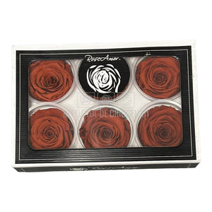 Trandafiri Criogenati XL GRP-01 (Ø6-6,5cm, set 6 buc /cutie) - DepozituldeCriogenati.ro