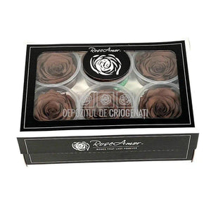 Trandafiri Criogenati XL GRP-02 (Ø6-6,5cm, set 6 buc /cutie) - DepozituldeCriogenati.ro