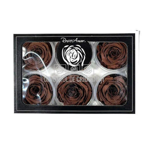 Trandafiri Criogenati XL GRP-02 (Ø6-6,5cm, set 6 buc /cutie) - DepozituldeCriogenati.ro