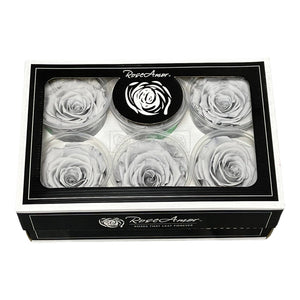 Trandafiri Criogenati XL GRY-02 (Ø6-6,5cm, set 6 buc /cutie) - DepozituldeCriogenati.ro