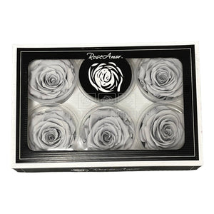 Trandafiri Criogenati XL GRY-02 (Ø6-6,5cm, set 6 buc /cutie) - DepozituldeCriogenati.ro