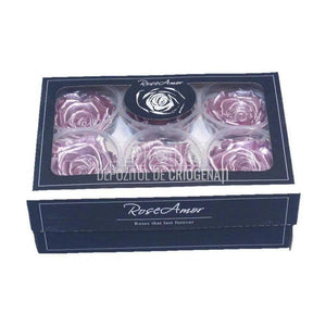 Trandafiri Criogenati XL METALLIC OLD PINK (Ø6-6,5cm, set 6 buc) - DepozituldeCriogenati.ro