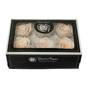 Trandafiri Criogenati XL PEA-89 (Ø6-6,5cm, set 6 buc /cutie) - DepozituldeCriogenati.ro