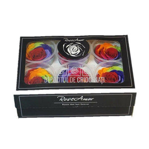 Trandafiri Criogenati XL RAINBOW RED-02 (Ø6-6,5cm, set 6 buc) - DepozituldeCriogenati.ro