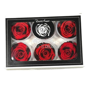 Trandafiri Criogenati XL RED-03 (Ø6-6,5cm, set 6 buc /cutie) - DepozituldeCriogenati.ro