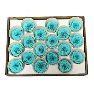 Trandafiri Criogenati XS BLU-02 (Ø3cm, set 18 buc /cutie) - DepozituldeCriogenati.ro