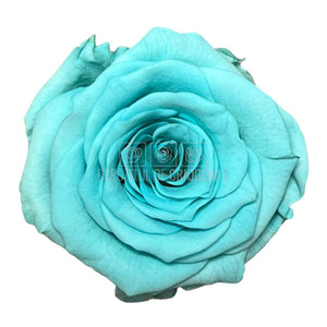 Trandafiri Criogenati XS BLU-02 (Ø3cm, set 18 buc /cutie) - DepozituldeCriogenati.ro