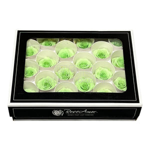 Trandafiri Criogenati XS GRE-04 (Ø3cm, set 18 buc /cutie) - DepozituldeCriogenati.ro