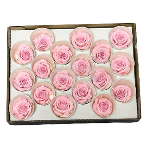 Trandafiri Criogenati XS PIN-04 (Ø3cm, set 18 buc /cutie) - DepozituldeCriogenati.ro