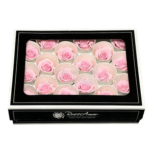 Trandafiri Criogenati XS PIN-04 (Ø3cm, set 18 buc /cutie) - DepozituldeCriogenati.ro