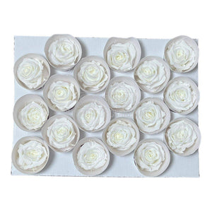 Trandafiri Criogenati XS WHI-01 (Ø3cm, set 18 buc /cutie) - DepozituldeCriogenati.ro