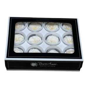 Trandafiri de gradina AMELIA CHA-89 (dia. 3-4cm, set 12 buc /cutie)