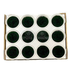 Trandafiri de gradina AMELIA GRE-02 (Ø3-4cm, set 12 buc /cutie) - DepozituldeCriogenati.ro