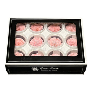 Trandafiri de gradina AMELIA PIN-04 (Ø3-4cm, set 12 buc /cutie) - DepozituldeCriogenati.ro