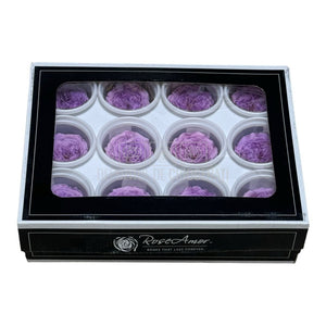 Trandafiri de gradina AMELIA VIO-03 (dia. 3-4cm, set 12 buc /cutie)