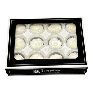 Trandafiri de gradina AMELIA WHI-01 (Ø3-4cm, set 12 buc /cutie) - DepozituldeCriogenati.ro