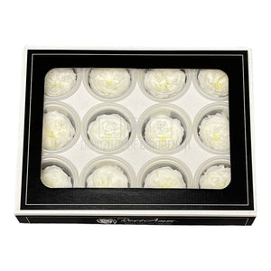 Trandafiri de gradina AMELIA WHI-01 (Ø3-4cm, set 12 buc /cutie) - DepozituldeCriogenati.ro