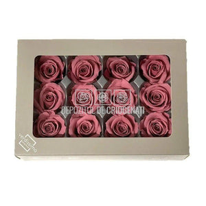 Trandafiri MINI CHERRY BLOSSOM (Ø3,5-4,5cm, set 12 buc) - DepozituldeCriogenati.ro