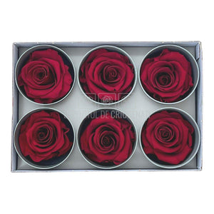 Trandafiri STANDARD BURGUNDY (dia. 5-5,5cm; set 6 buc /cutie)