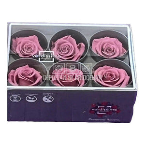 Trandafiri STANDARD CHERRY BLOSSOM (Ø5-5,5cm) - DepozituldeCriogenati.ro