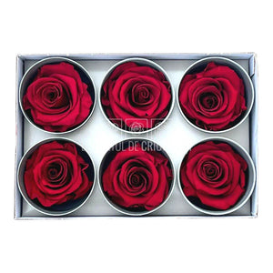 Trandafiri STANDARD RED (Ø5-5,5cm; set 6 buc /cutie) - DepozituldeCriogenati.ro