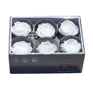 Trandafiri STANDARD WHITE (Ø5-5,5cm; set 6 buc /cutie) - DepozituldeCriogenati.ro