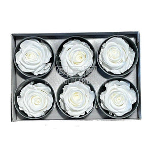 Trandafiri STANDARD WHITE (Ø5-5,5cm; set 6 buc /cutie) - DepozituldeCriogenati.ro
