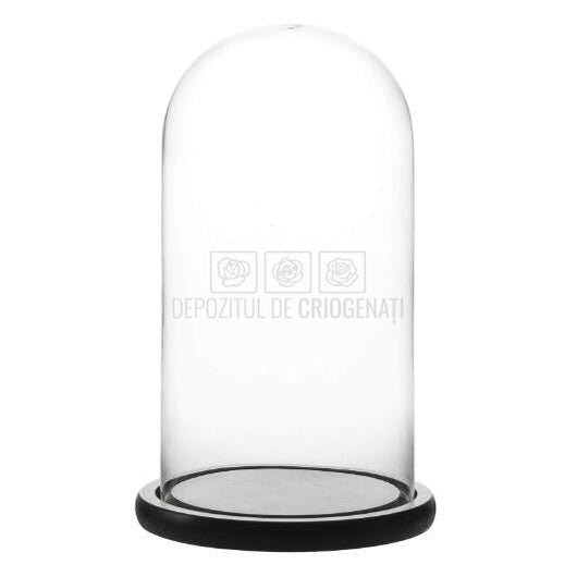 Alege cupola de sticlă 12x25 cm cu blat negru pentru aranjamente florale criogenate și decor vegetal stabilizat pentru durabilitate și eleganță - Depozitul de Criogenati