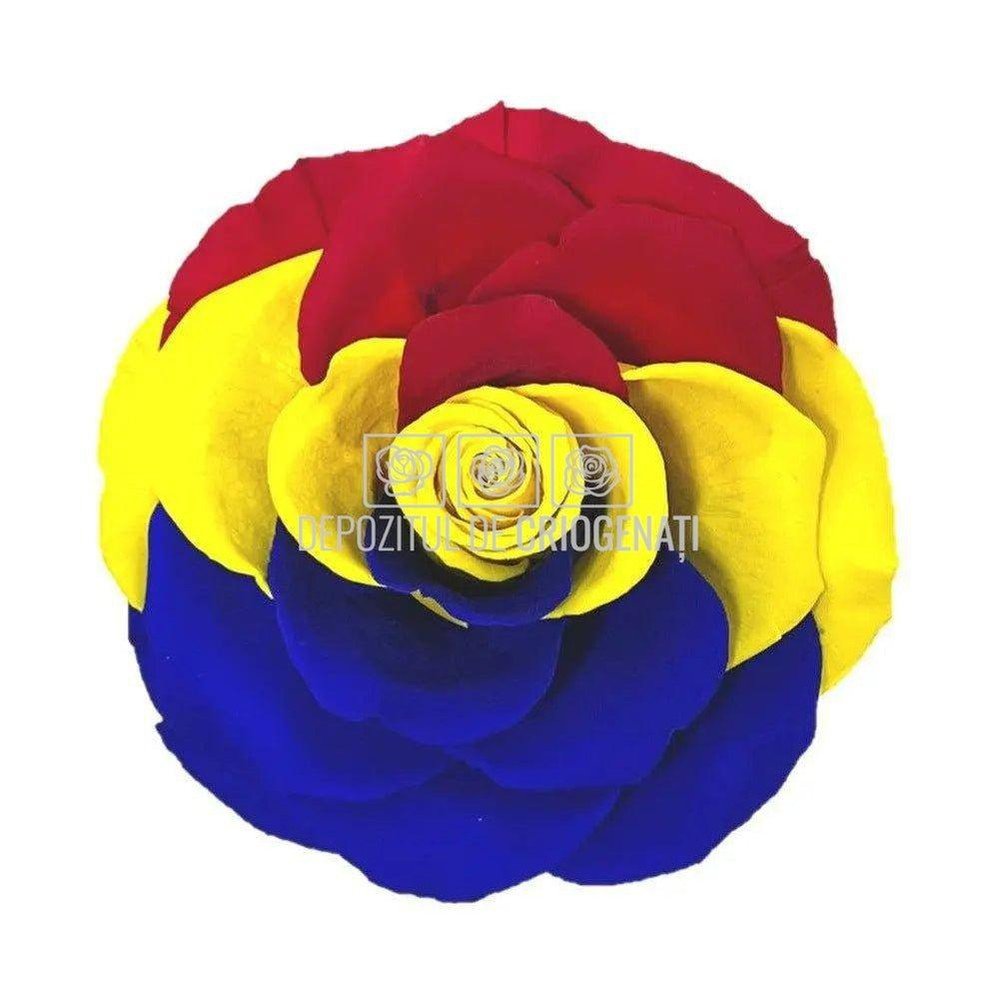 Trandafirul Criogenat BONITA FLAG ROMANIA: Cum Transformă Aranjamentele pentru Evenimente și Designul Interior cu Mușchi Stabilizat - Depozitul de Criogenati