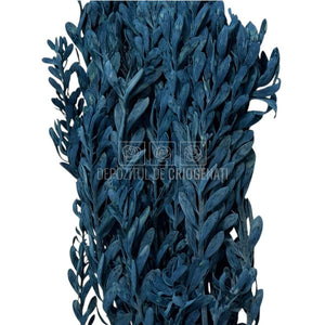 Buchet Stabilizat PUBESCENS Dusty Blue (culoare albastru, 40-50 cm)