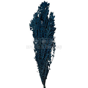Buchet Stabilizat PUBESCENS Dusty Blue (culoare albastru, 40-50 cm)