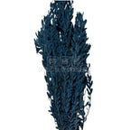 Buchet Stabilizat PUBESCENS Dusty Blue (culoare albastru, 40-50 cm)