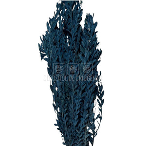 Buchet Stabilizat PUBESCENS Dusty Blue (culoare albastru, 40-50 cm)