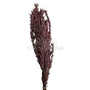 Buchet Stabilizat PUBESCENS Dusty Pink (culoare roz inchis, 40-50 cm)