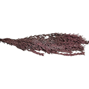 Buchet Stabilizat PUBESCENS Dusty Pink (culoare roz inchis, 40-50 cm)