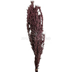 Buchet Stabilizat PUBESCENS Dusty Pink (culoare roz inchis, 40-50 cm)