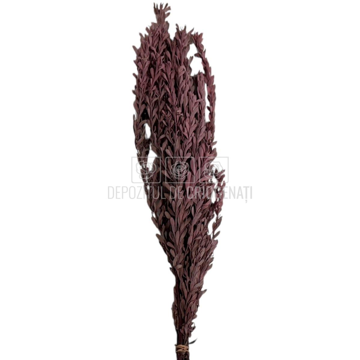 Buchet Stabilizat PUBESCENS Dusty Pink (culoare roz inchis, 40-50 cm)