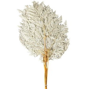 Feriga RUMOHRA WHITE Lulu (buchet 10 fire, 50-60 cm)