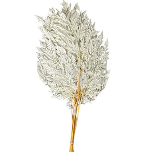 Feriga RUMOHRA WHITE Lulu (buchet 10 fire, 50-60 cm)