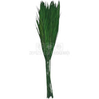 PALMA ROBELINE Verde - Buchet Criogenat (10 fire)