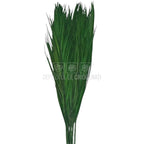 PALMA ROBELINE Verde - Buchet Criogenat (10 fire)