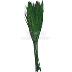 PALMA ROBELINE Verde - Buchet Criogenat (10 fire)