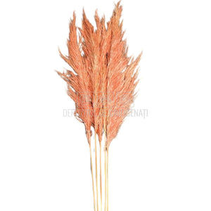 PAMPAS PASTEL PINK (buchet 5 fire, 80-90 cm)