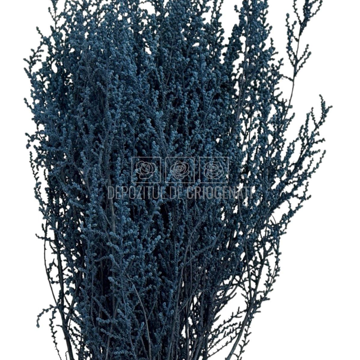STOEBE DUSTY BLUE (buchet albastru inchis, 40-50 cm)