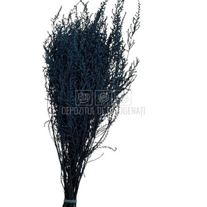 STOEBE DUSTY BLUE (buchet albastru inchis, 40-50 cm)