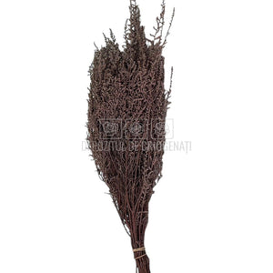 STOEBE DUSTY PINK (buchet roz inchis, 40-50 cm)