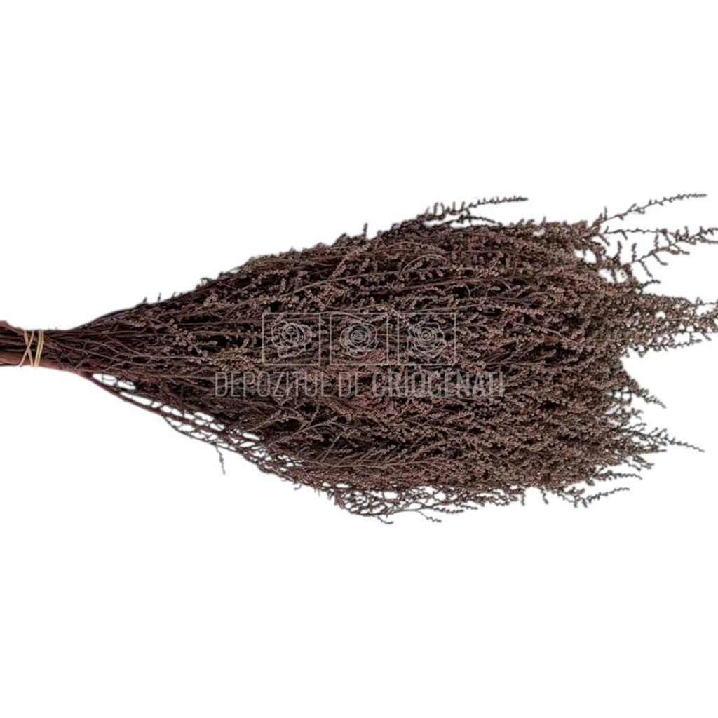 STOEBE DUSTY PINK (buchet roz inchis, 40-50 cm)
