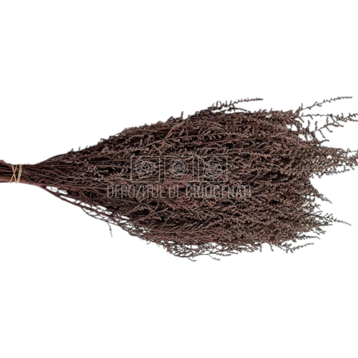 STOEBE DUSTY PINK (buchet roz inchis, 40-50 cm)