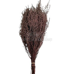 STOEBE TERRACOTTA (buchet maro, 40-50 cm)